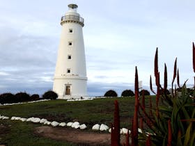 Cape Willoughby Lightstation - Cape Willoughby Conservation Park