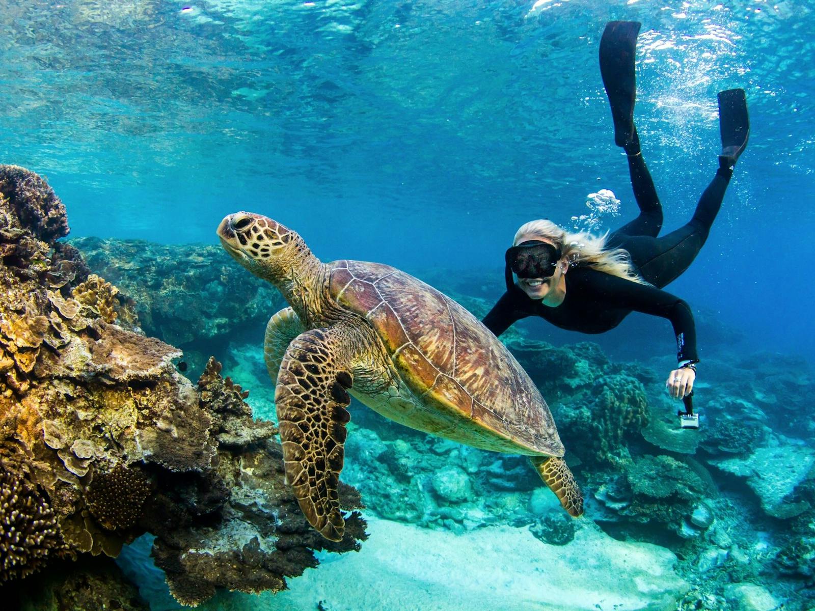 Southern Great Barrier Reef