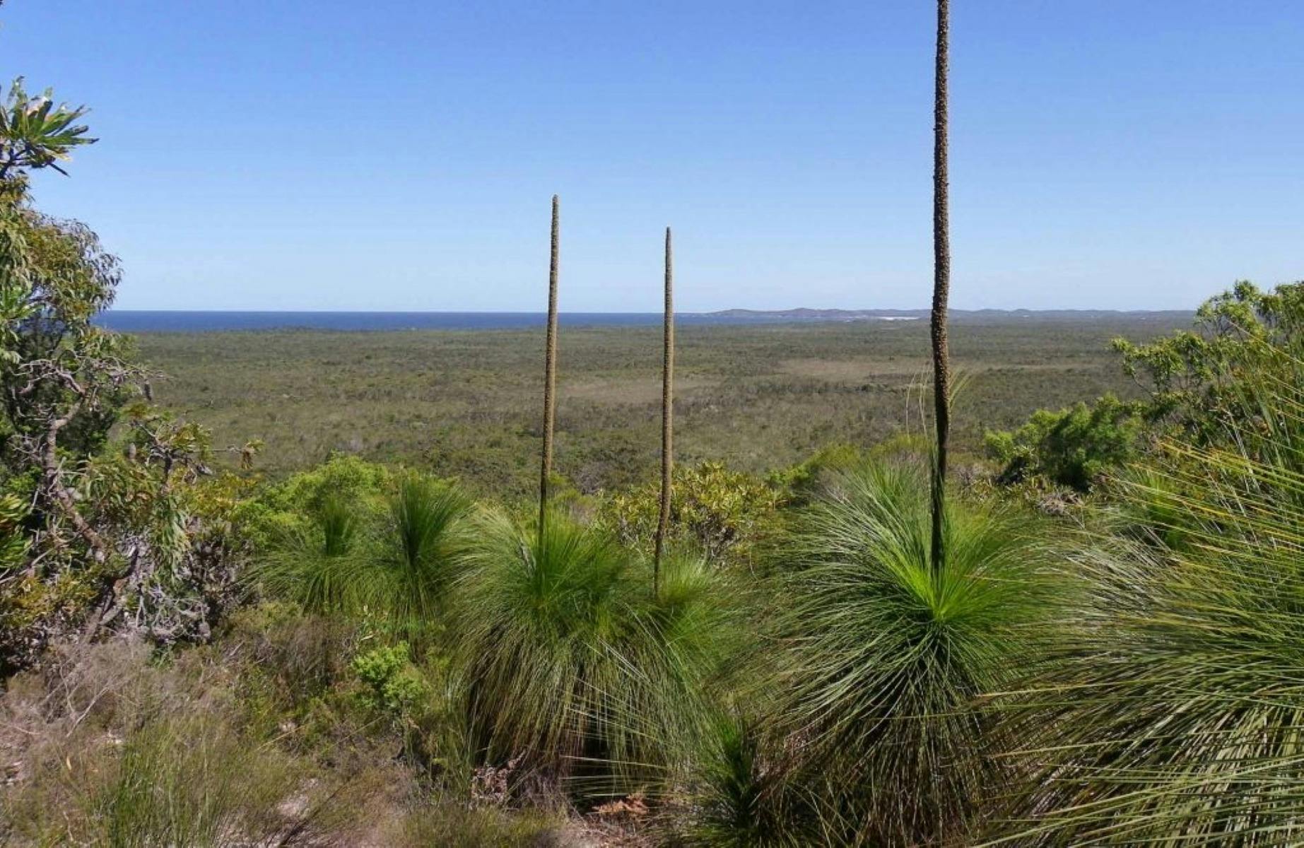 Broadwater inland lookout, Broadwater National Park