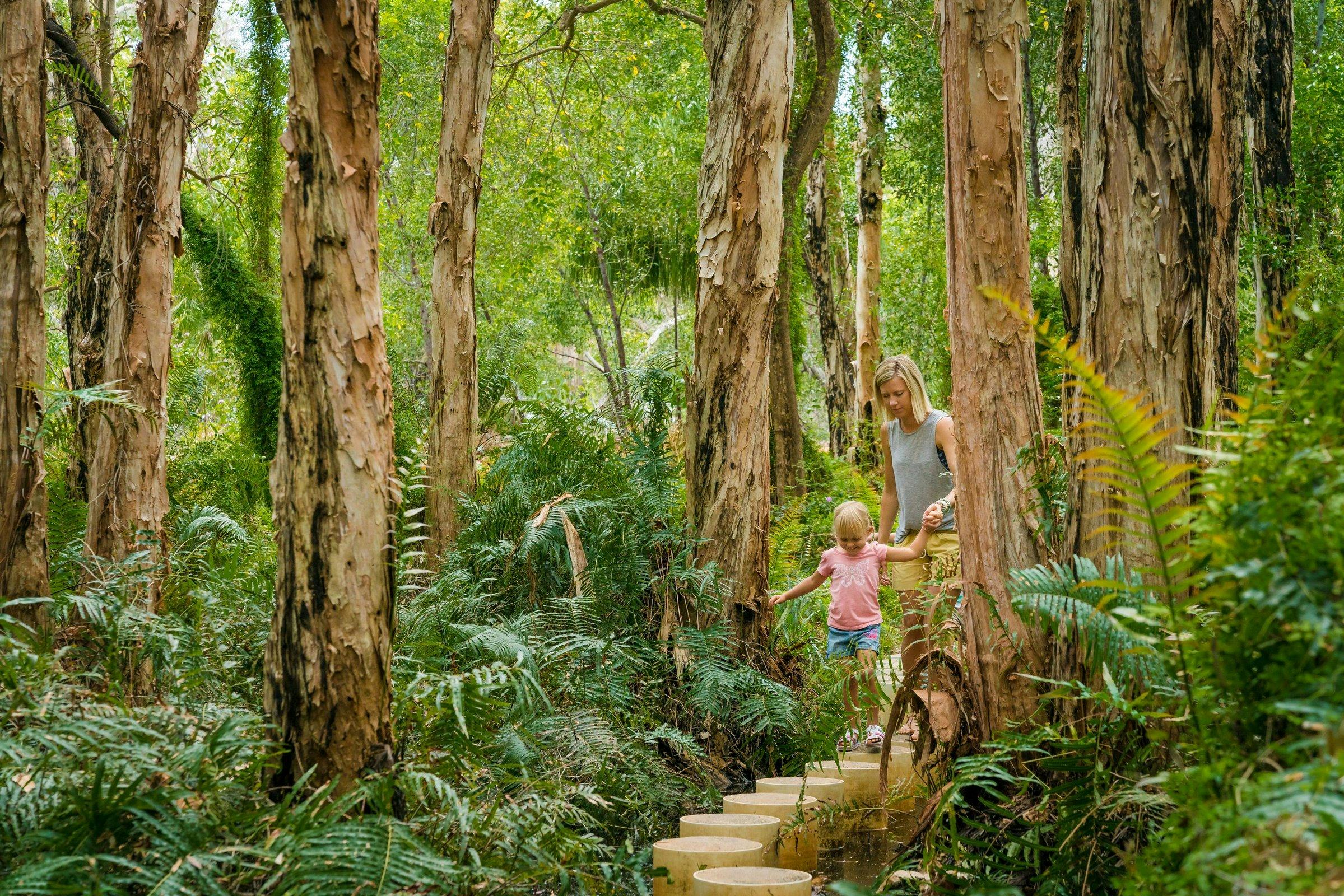 Paperbark Trail
