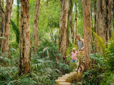 Paperbark Trail