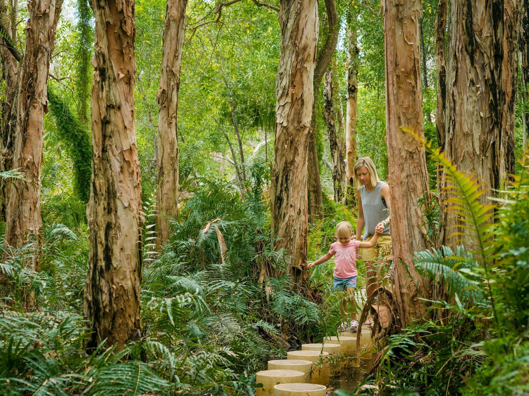 Paperbark Trail Paperbark Trail