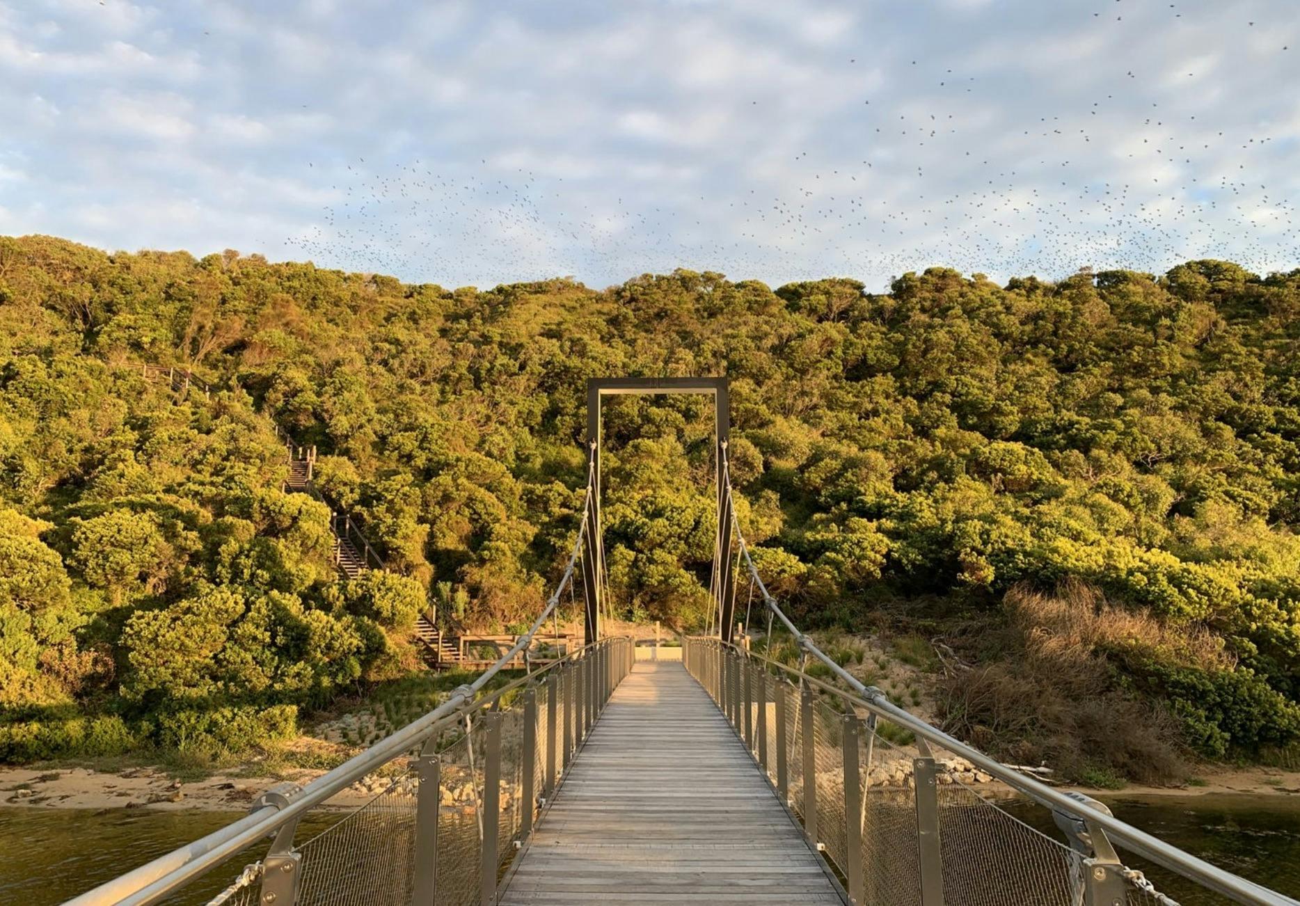 Mystery Picnic - Road to Otways