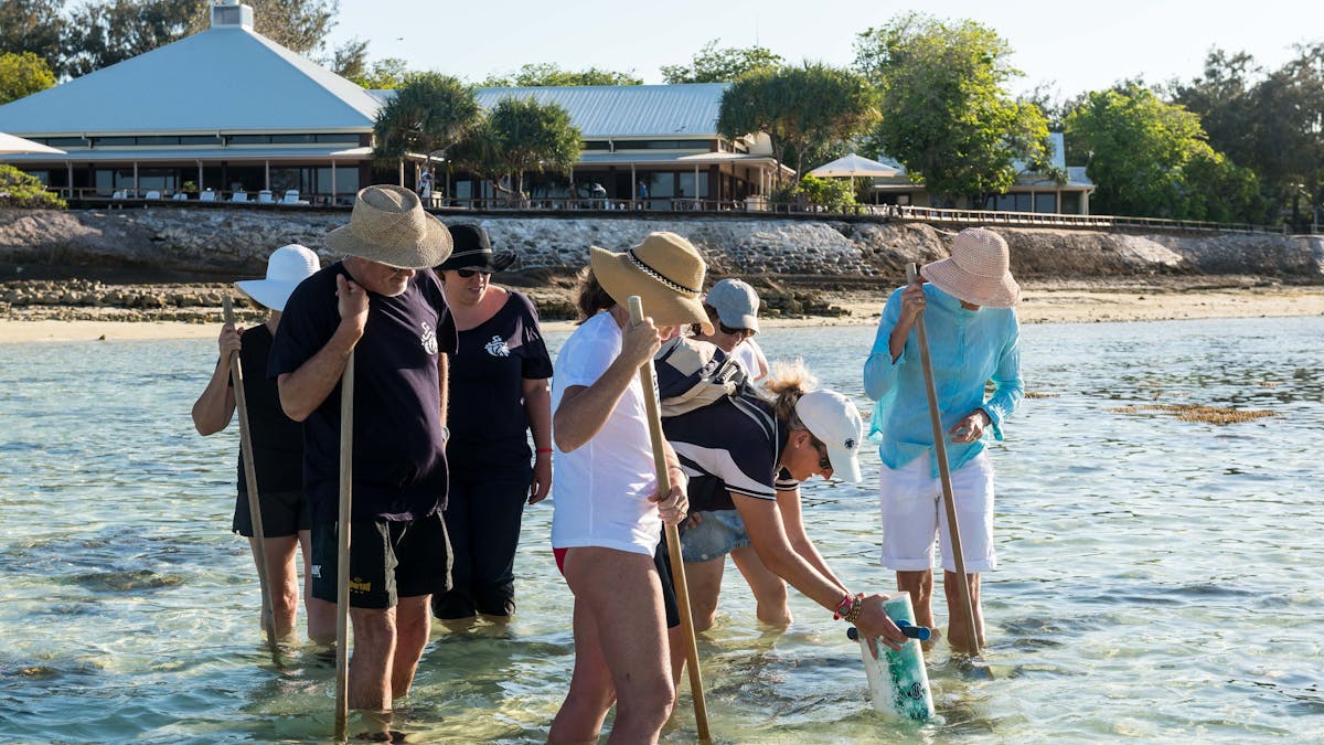 Guided Reef Walk