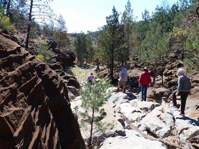 Alpana Station Blinman Pools Tour