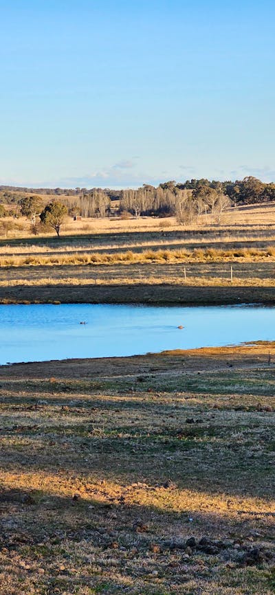 Trawalla House View 2