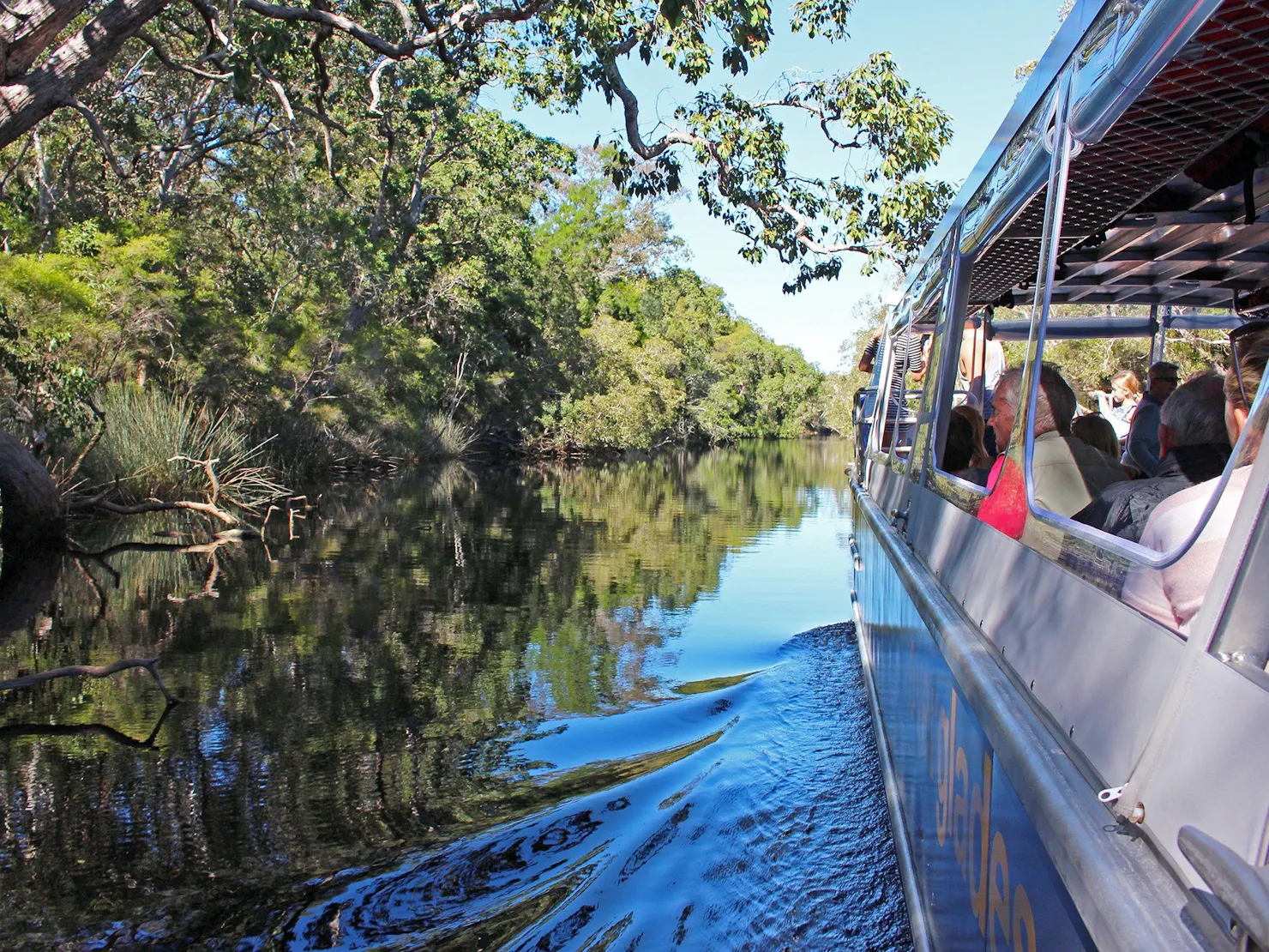 Cruising through the river of mirrors.