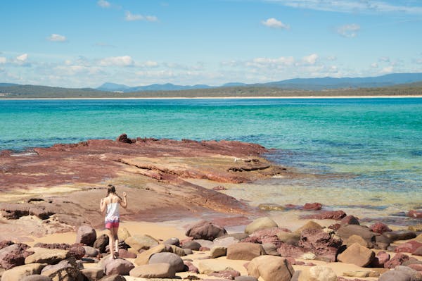 Sapphire Nature Tours