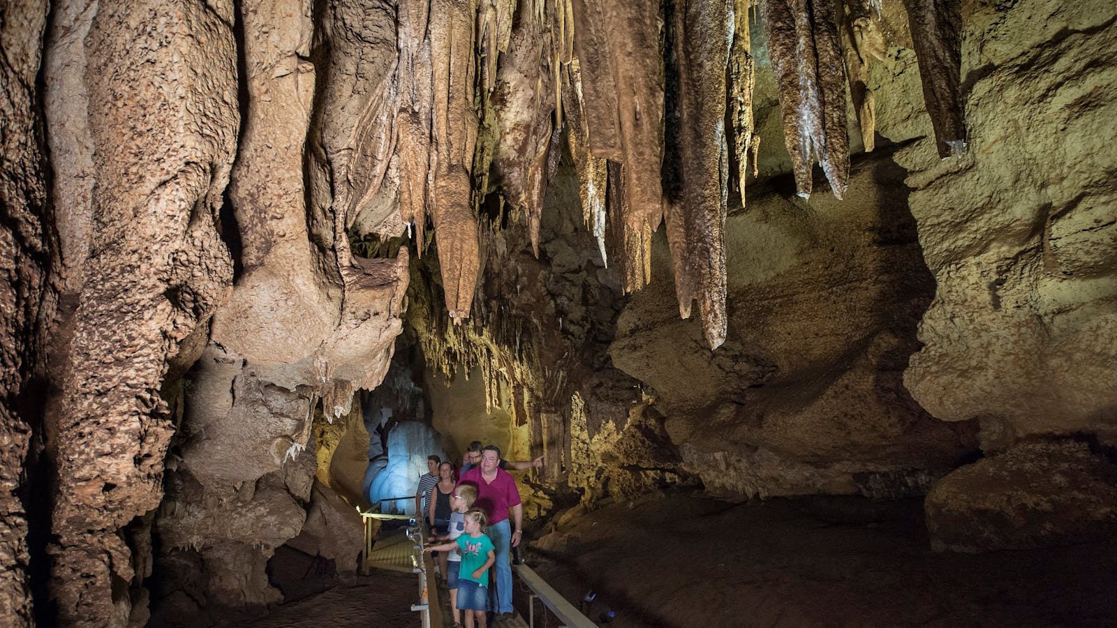 Cutta Cutta Caves Nature Park