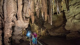 Cutta Cutta Caves Nature Park
