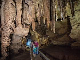 Cutta Cutta Caves Nature Park