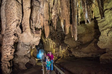 Cutta Cutta Caves Nature Park