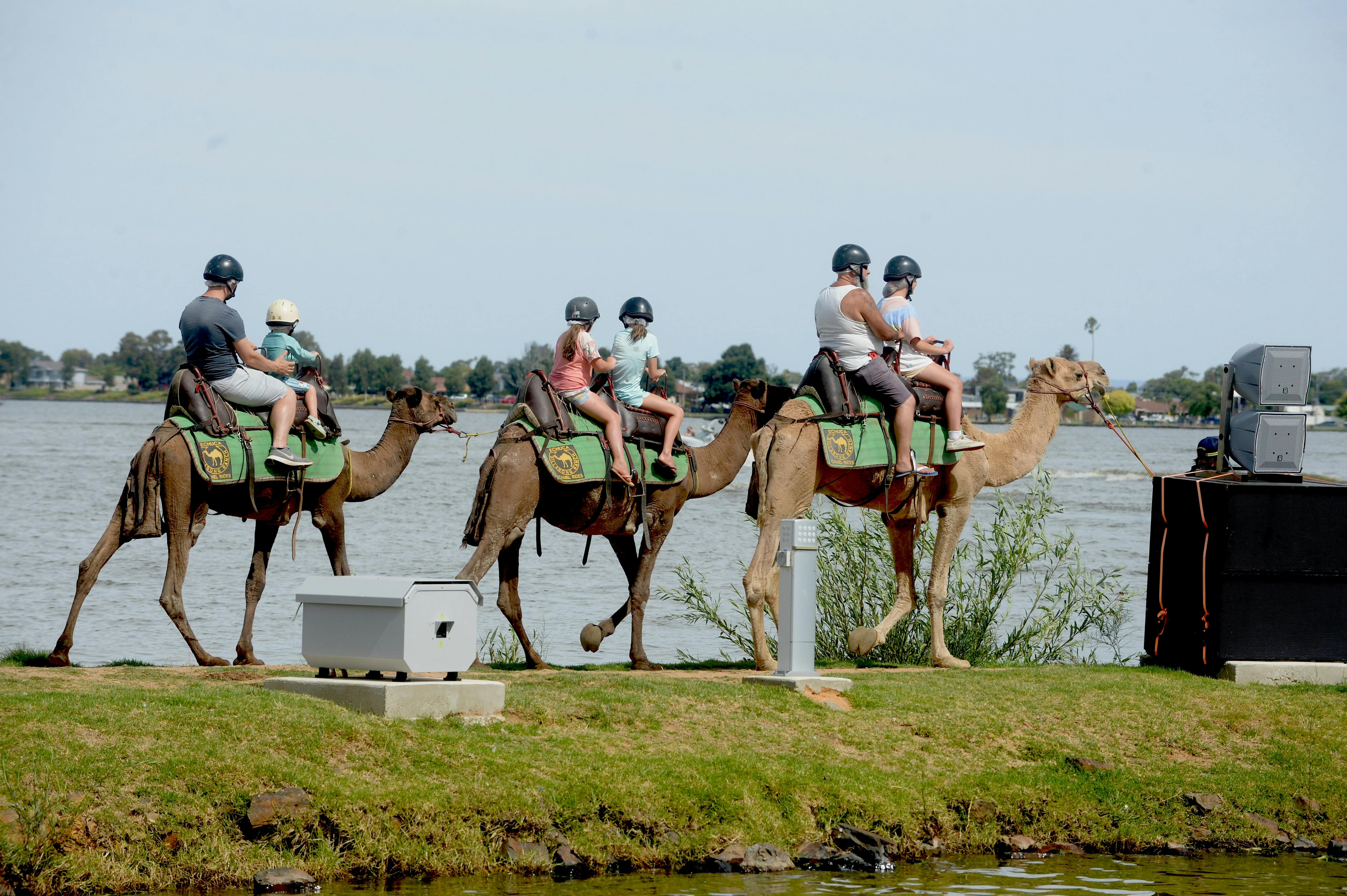 Kamelreiten bei Mulwala am Wasserrand