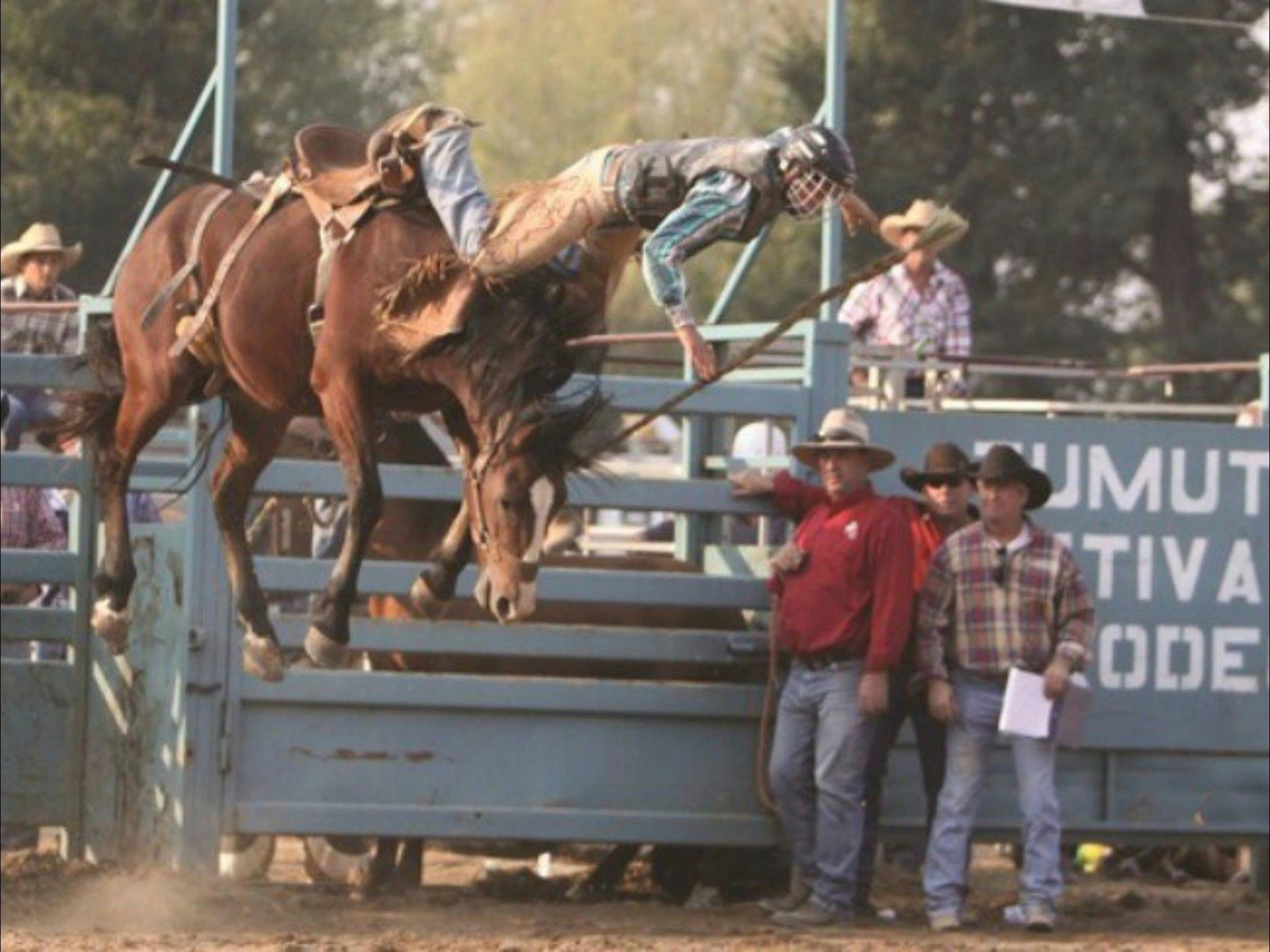 Tumut Rodeo | Sydney, Australia - Official Travel & Accommodation Website