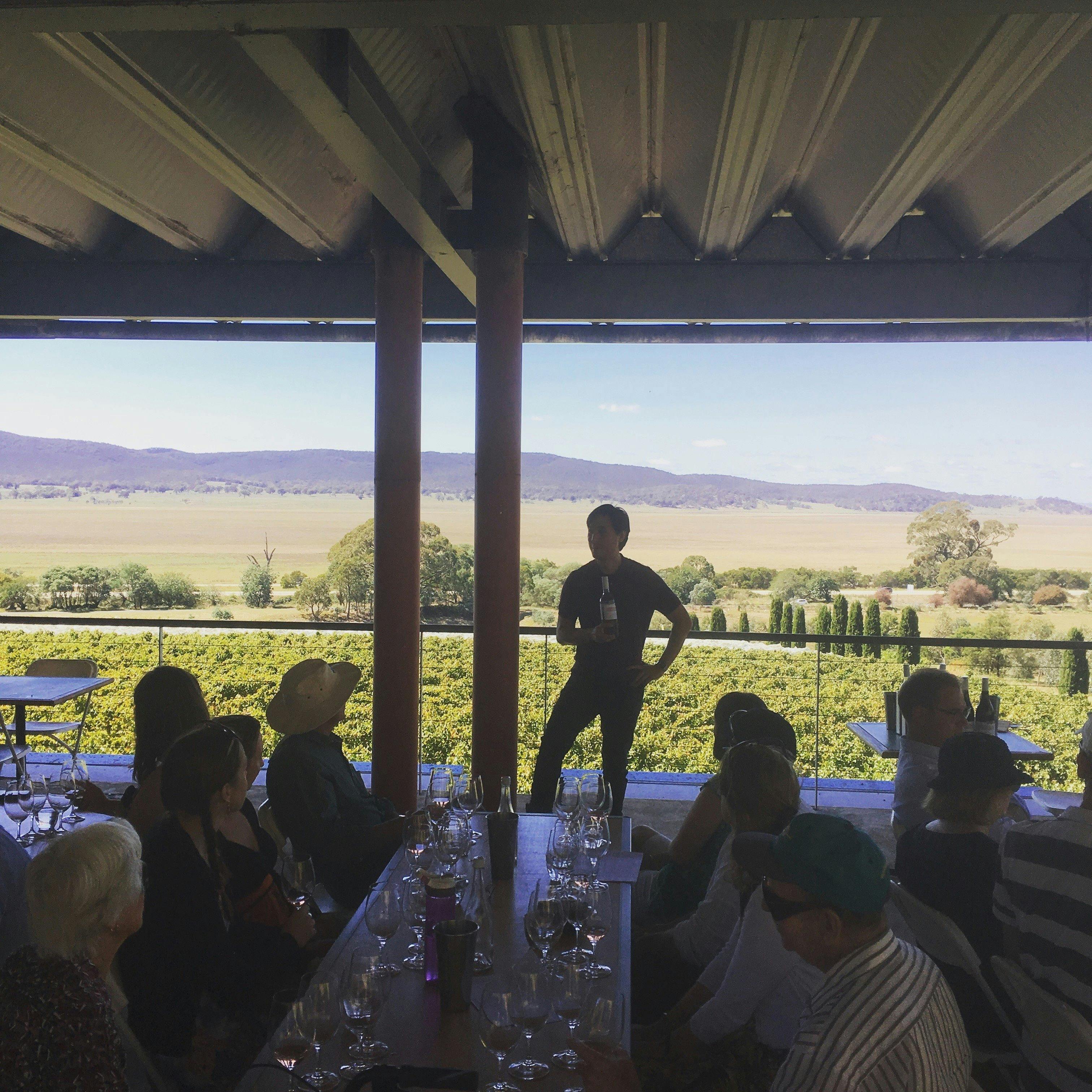 Vines and Wines Canberra Wine Tours NSW Holidays &
