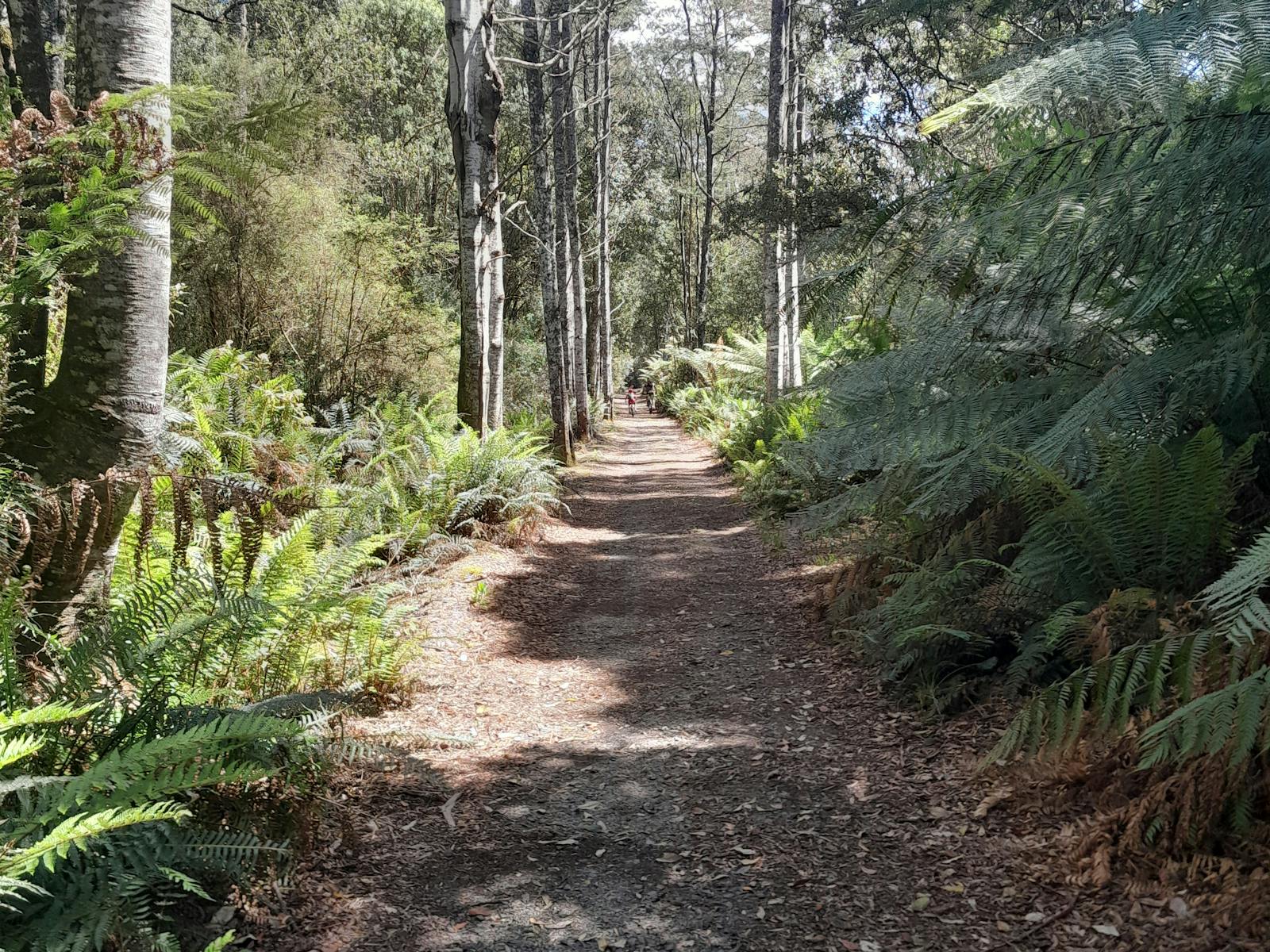 North East Tasmania Rail Trail