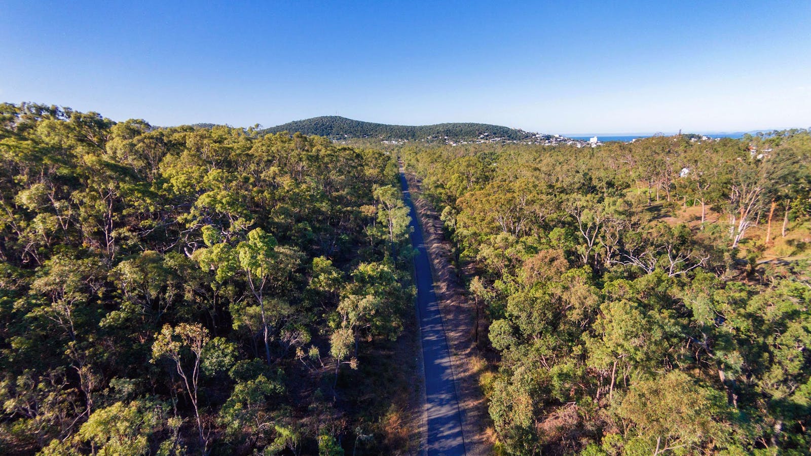Capricorn Coast Pineapple Rail Trail
