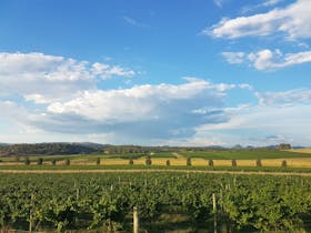 De Beaurepaire Wines 55 hectare vineyard in Rylstone, NSW