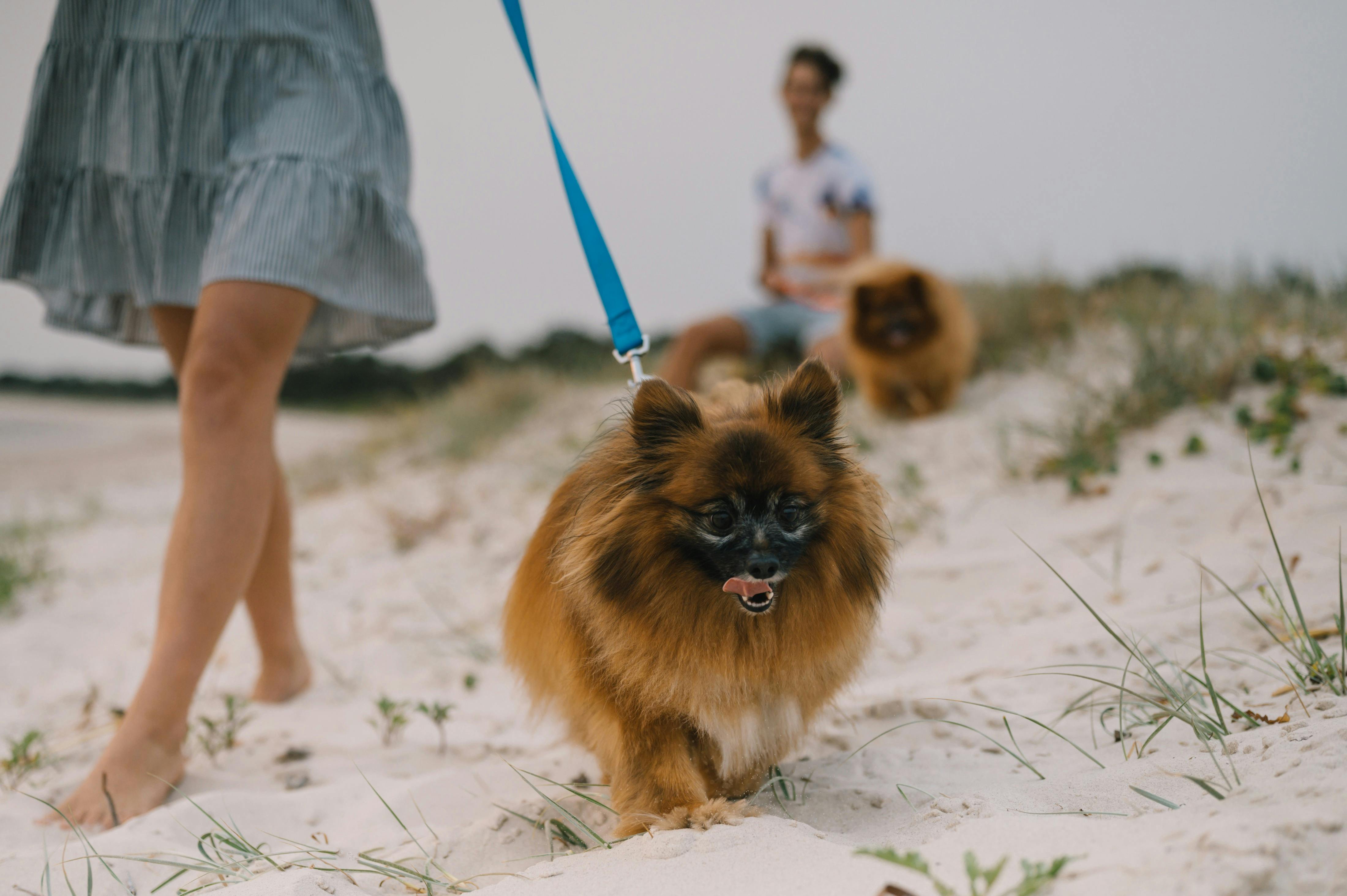 자연이 이렇게 좋을 수가 없었어요