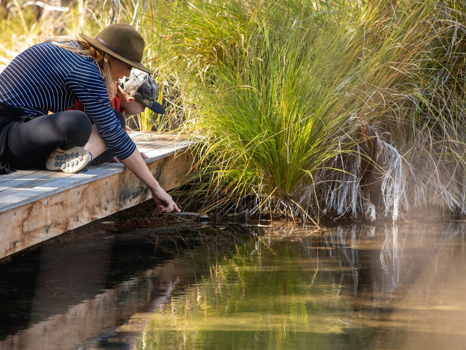Outback Queensland Talaroo Hot Springs Tours Outback Queensland