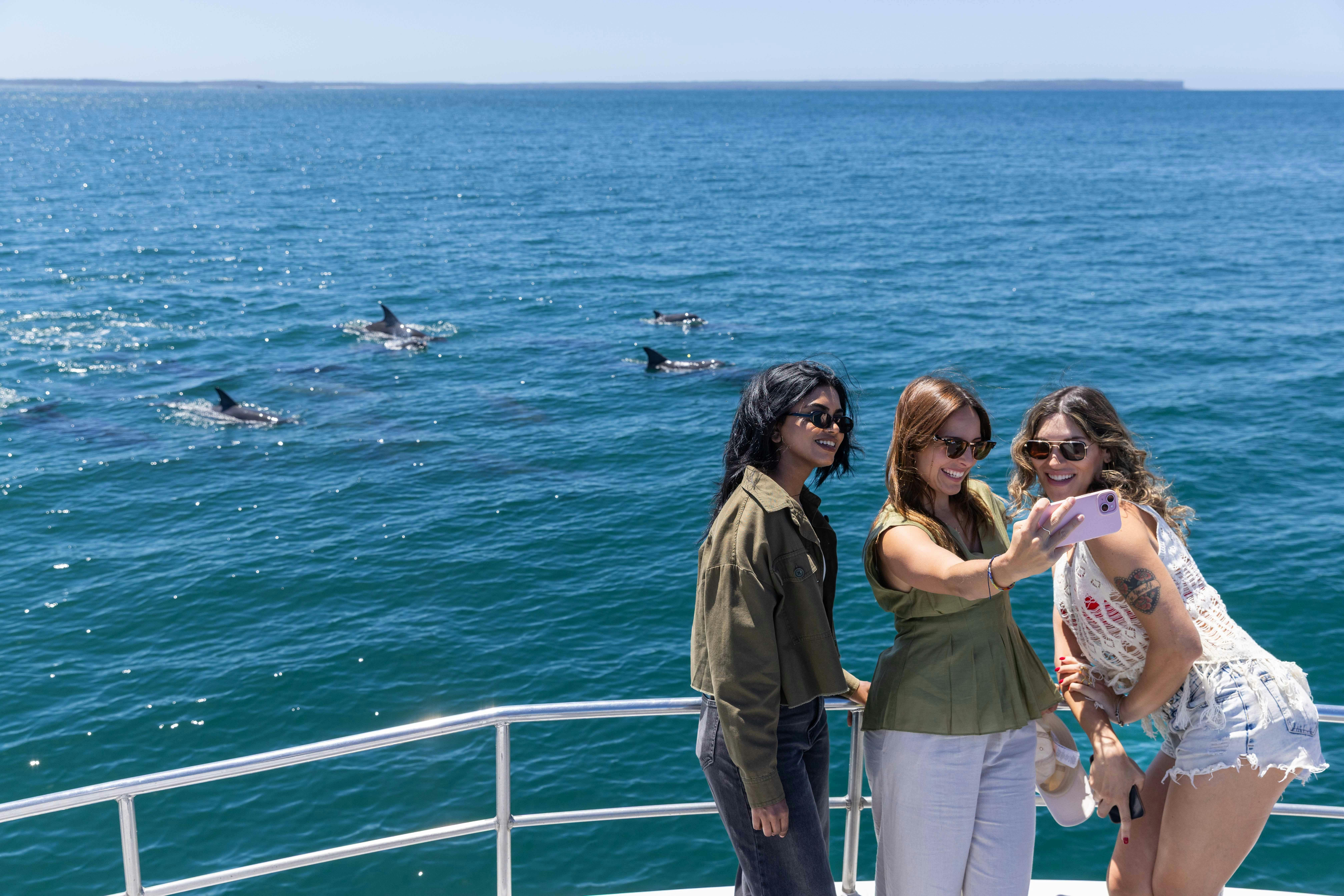 Dolphin Watch Cruise