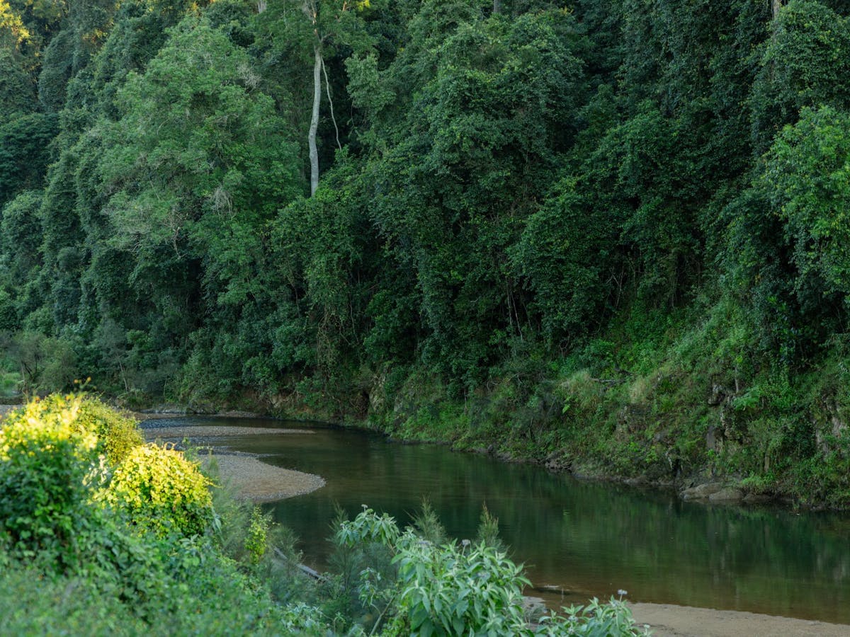 Moy Pocket which is a part of the Mary River