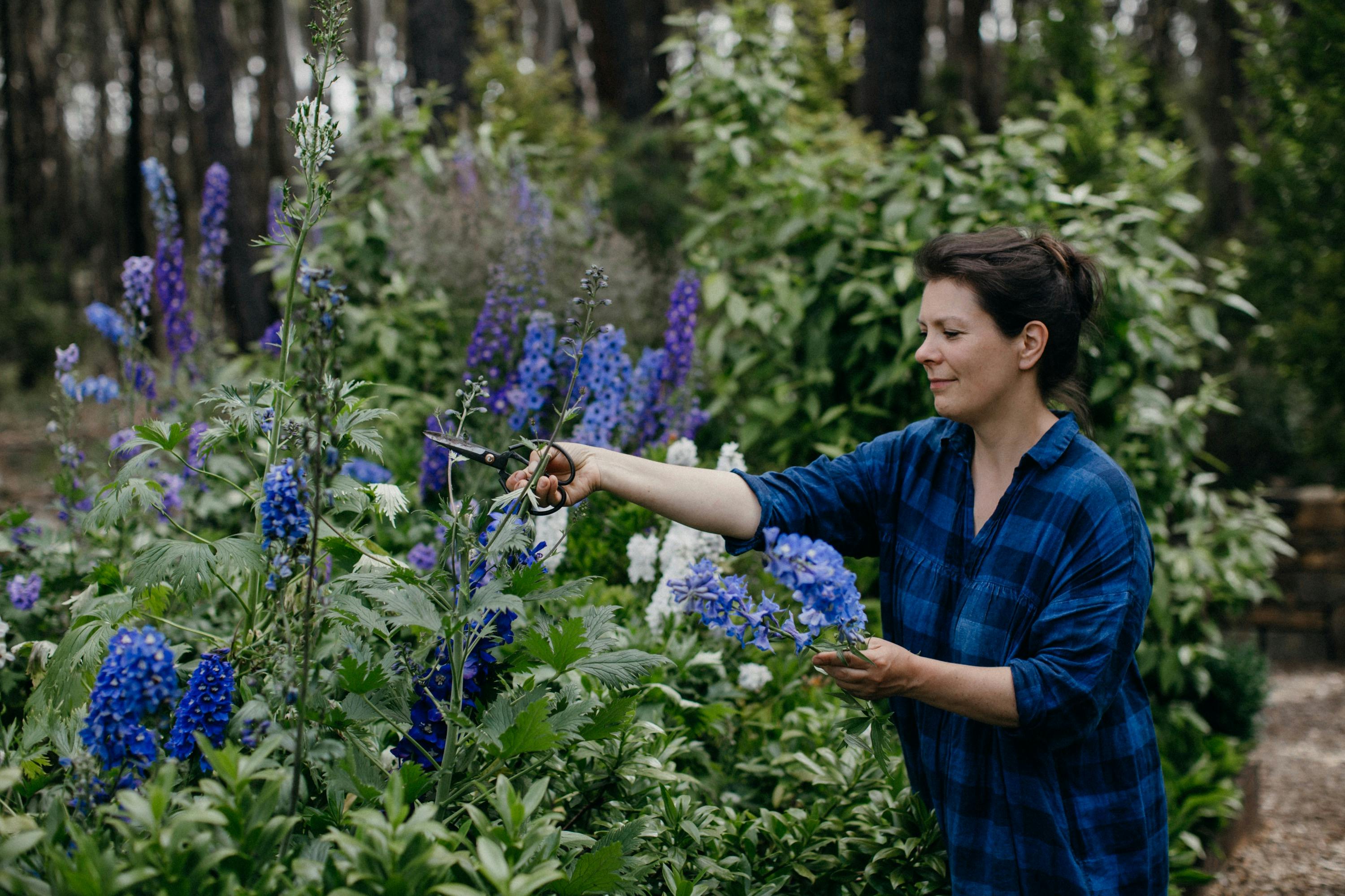 NATASHA MORGAN in the garden at Oak & Monkey Puzzle