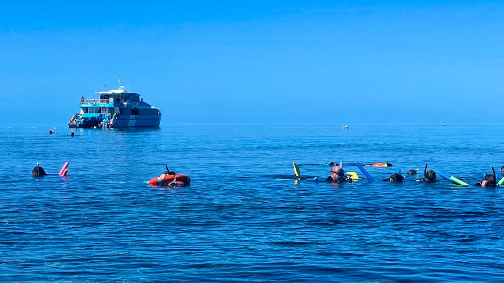 SeaLink North Queensland - Great Barrier Reef Snorkelling Day Tour