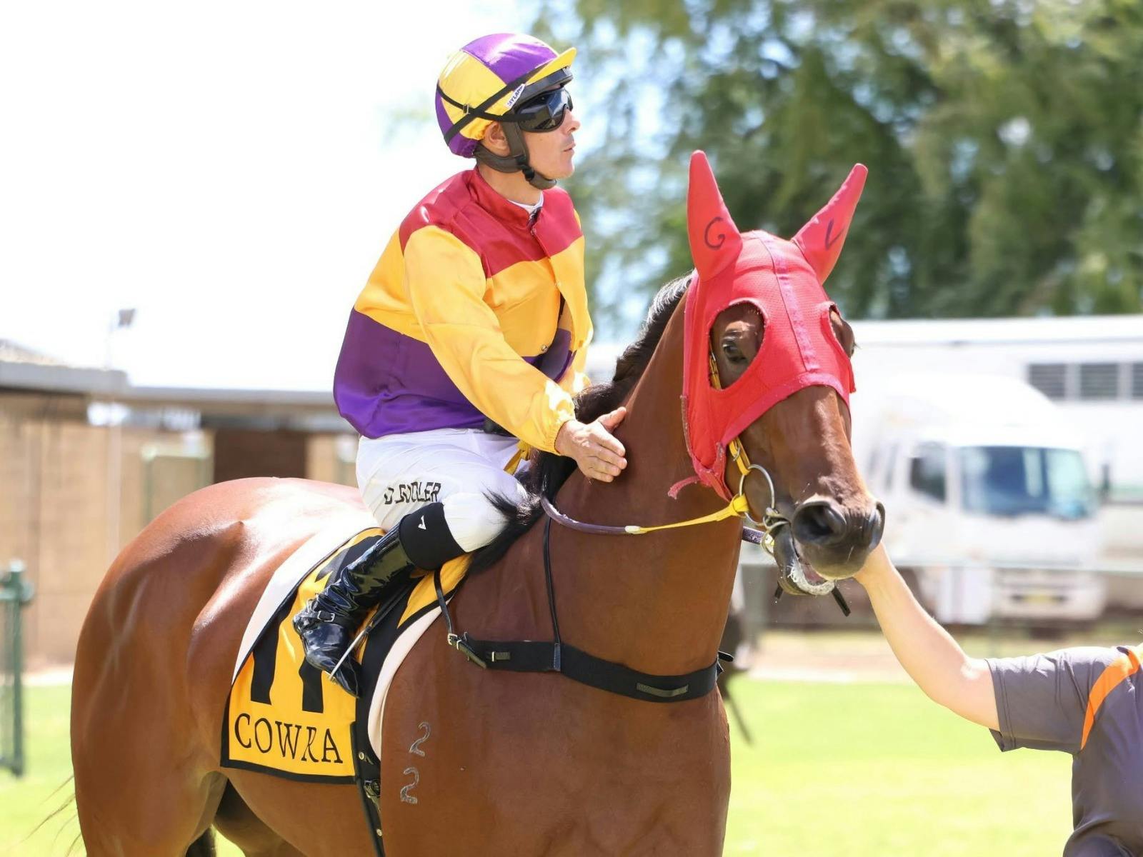 Jockey and Horse- Christmas Race Day