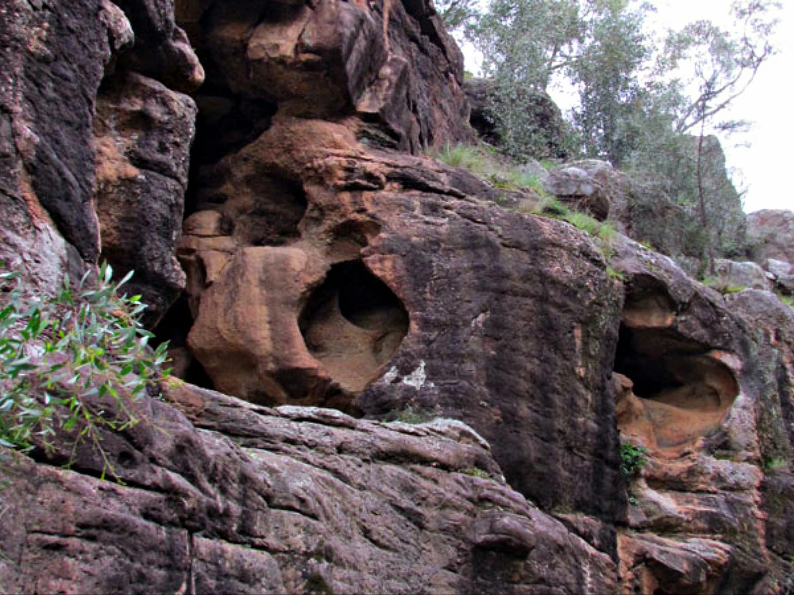 Felsformationen, Berthas Gully Track, Weddin Mountains National Park. Foto: M Cooper/Regierung von NSW