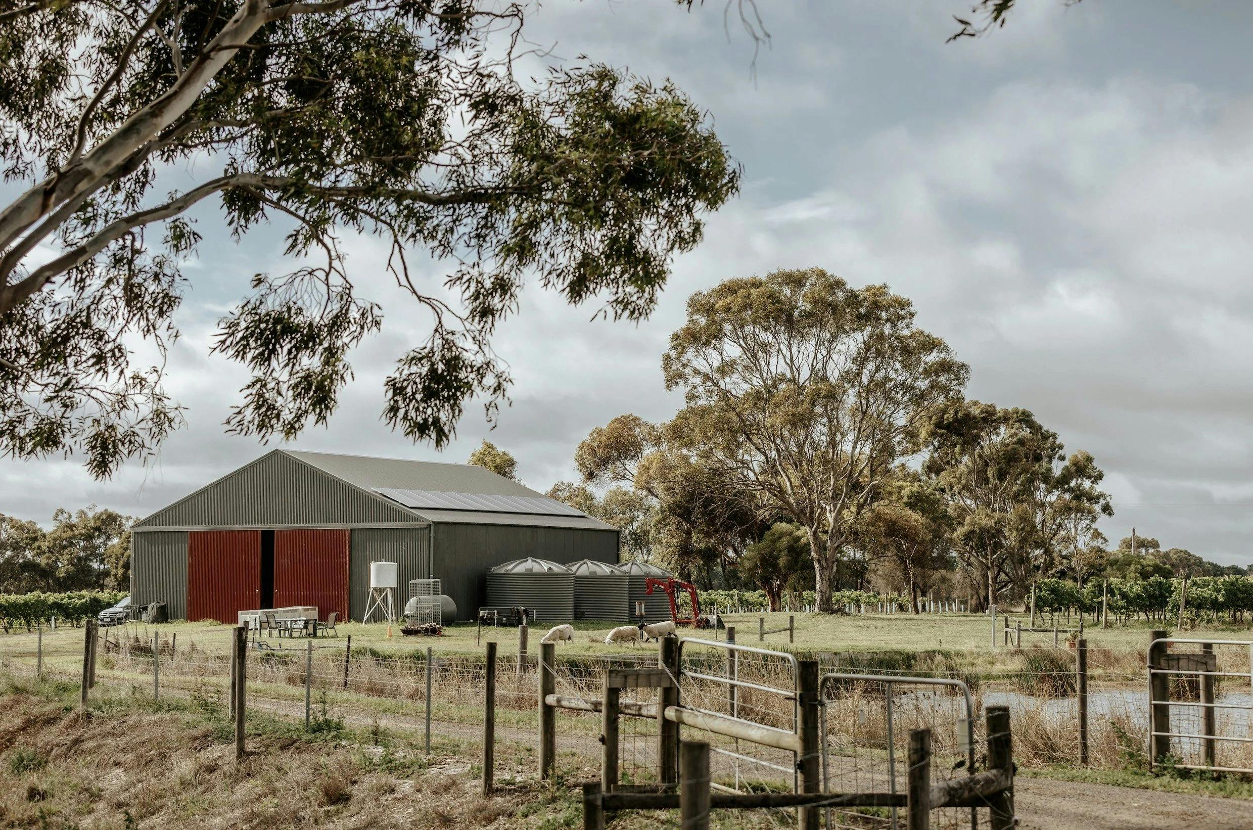 Circulus Wine, Portarlington, Bellarine Peninsula, Victoria