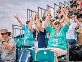 Gold Pass Grandstand ticketholders holding up their arms in celebration