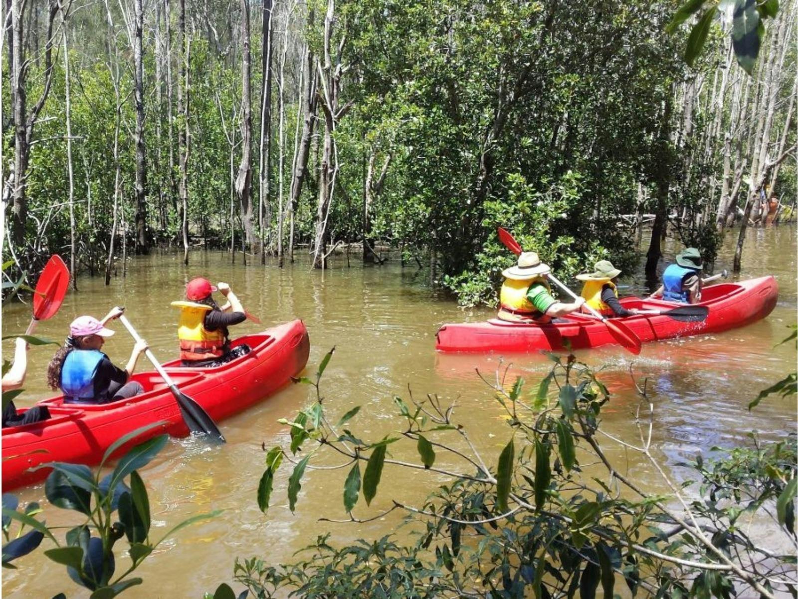 2 red canoes paddle down a creek