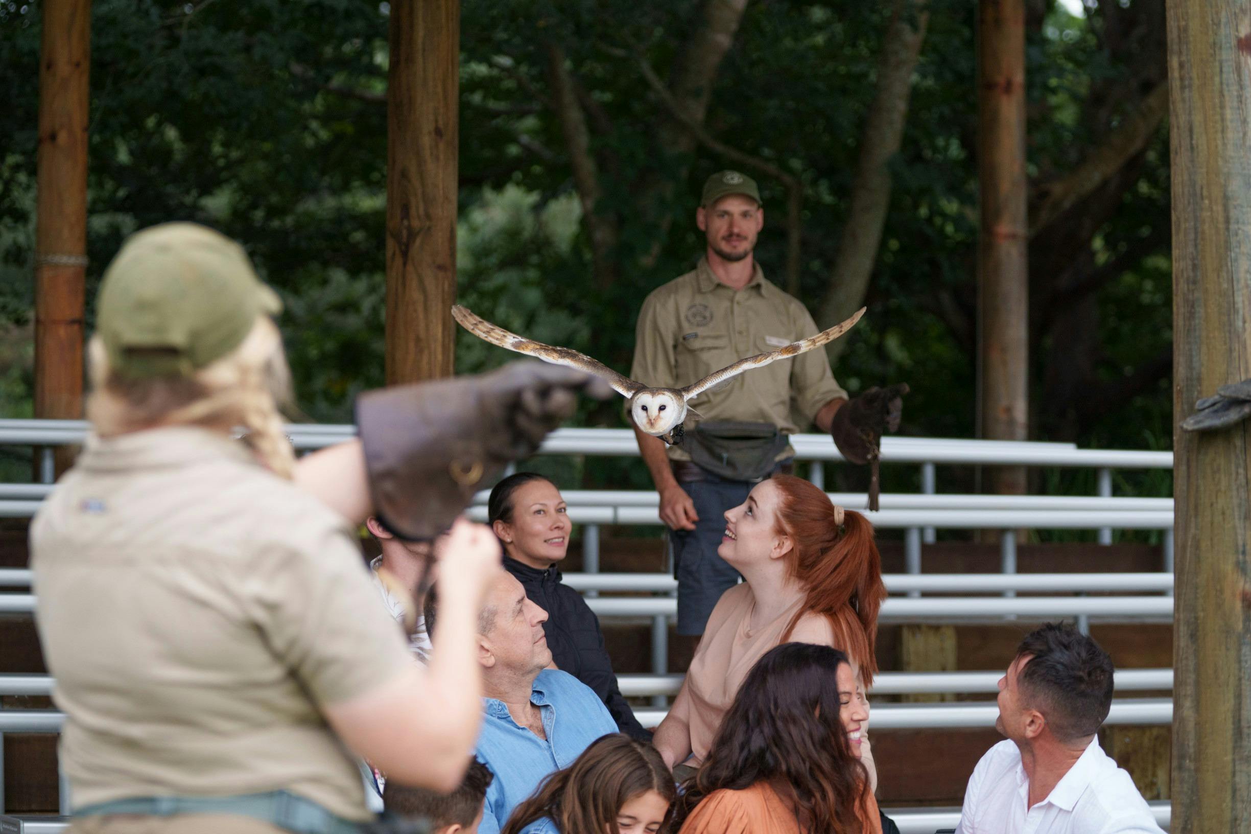 Raptor Encounter