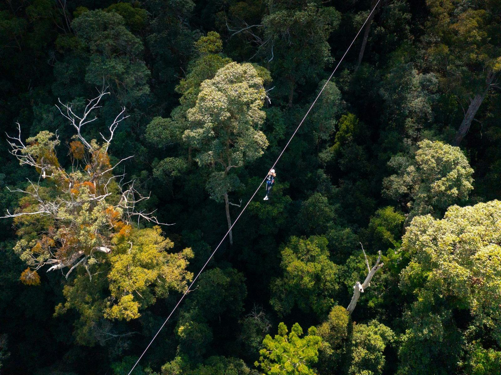 Canyon Flyer Guided Zipline Tour