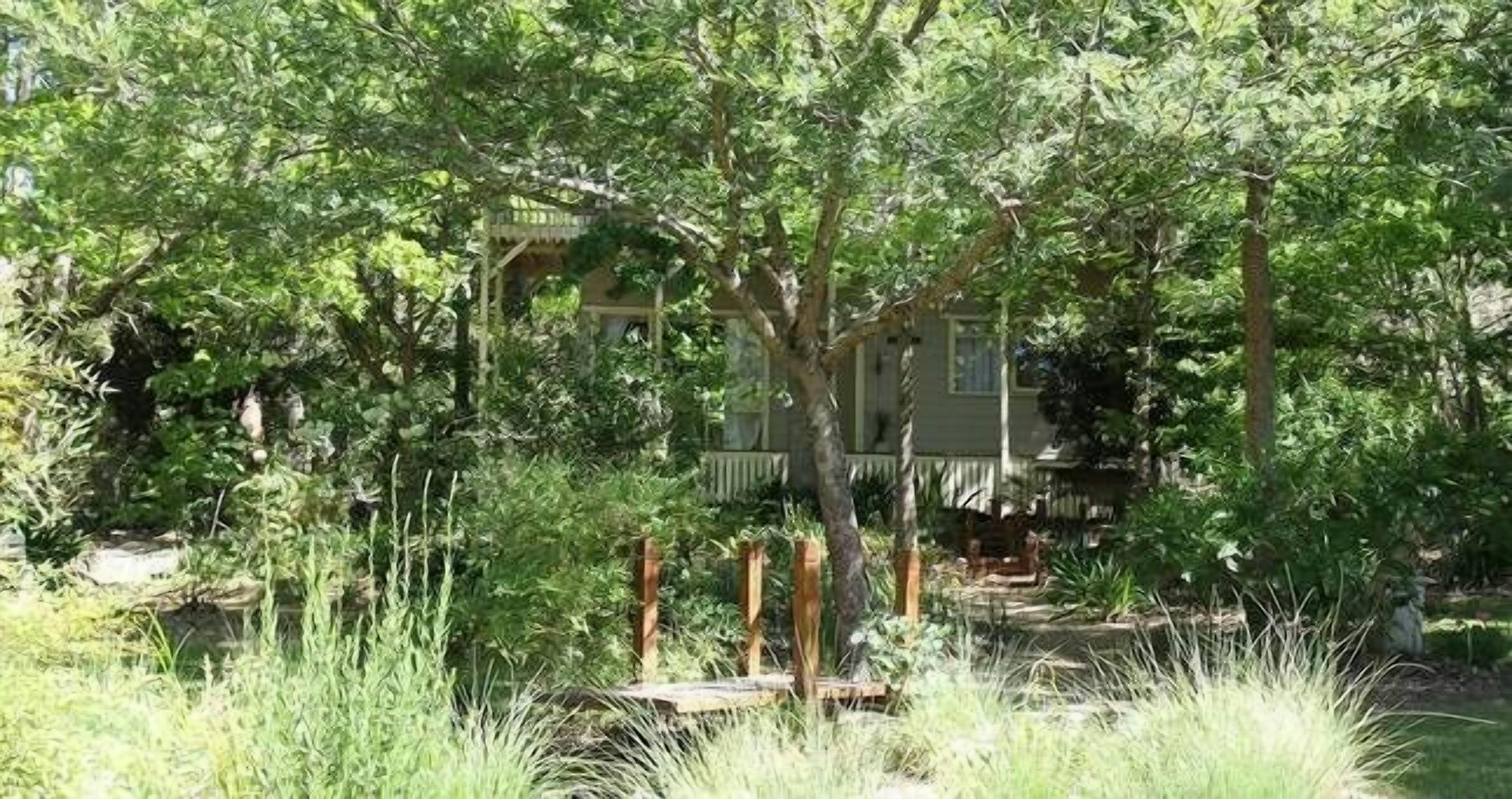The Secret Garden Cottage glimpsed through gum trees and native garden