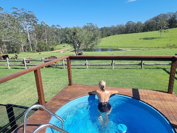 Plunge Pool overlooking the Farm