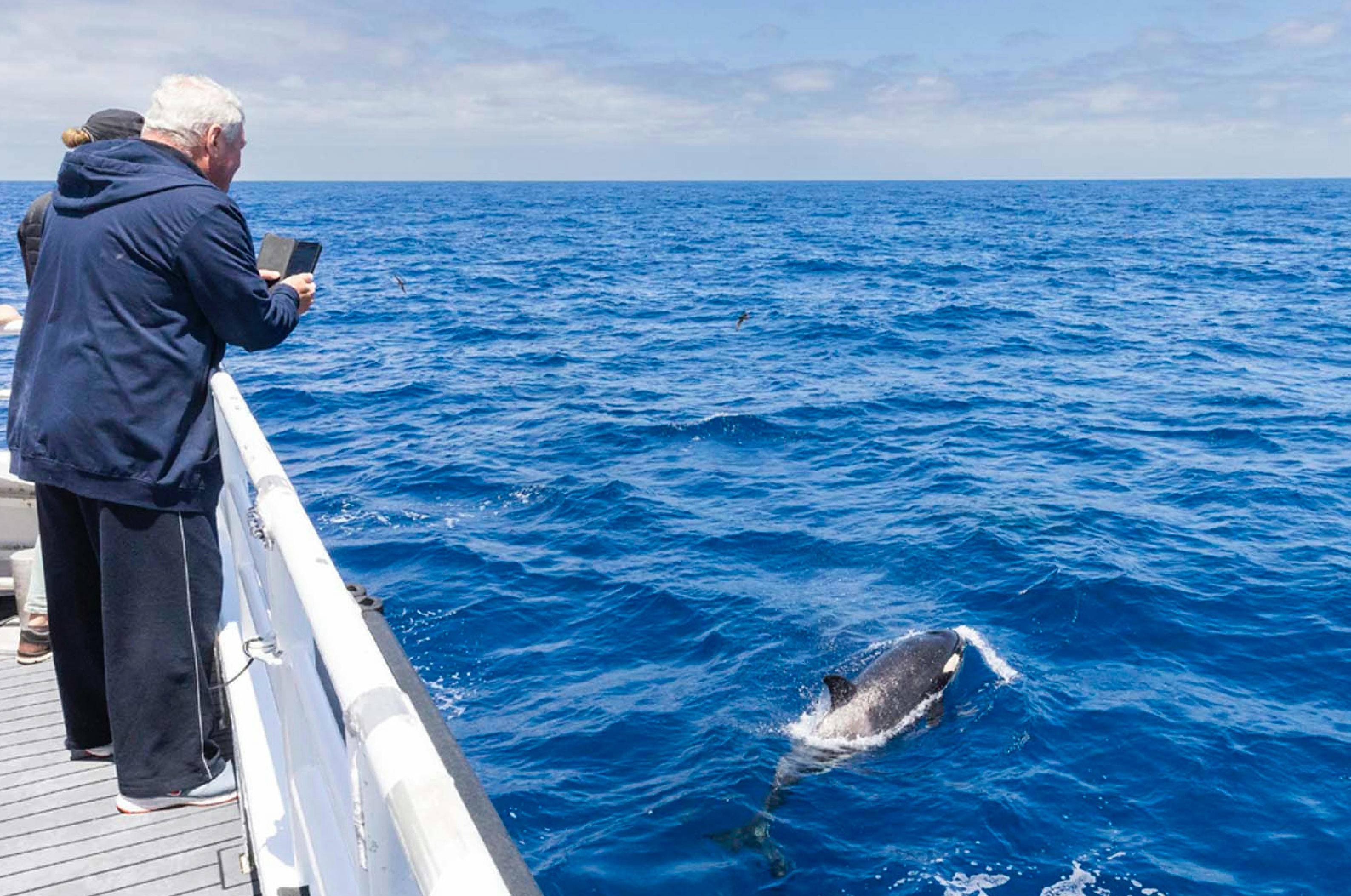 Orcas Wheatbelt to Bremer Canyon Tour