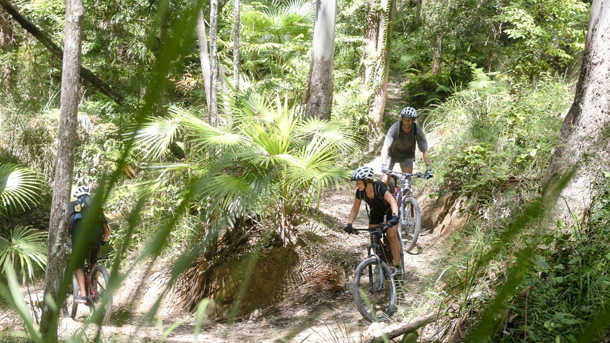 Mountain Bike Tour MTB eMTB Trails Wooroi Tewantin National Park
