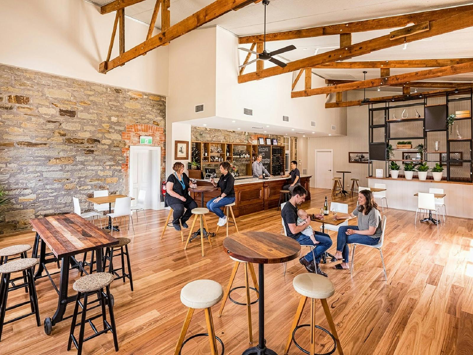 Wide shot Knappstein Cellar Door