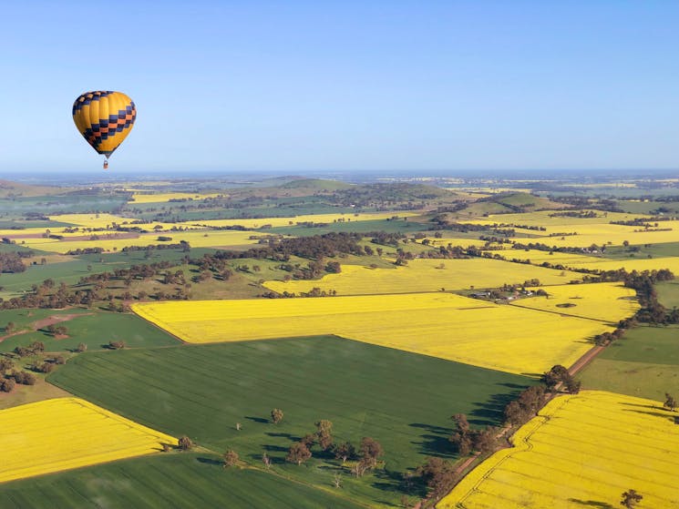 Balloon high over canola