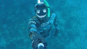 Learn to freedive, Freediving, Spearfishing, Freedive Victoria