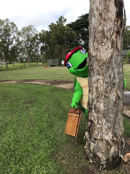 Tasman Turtle's Picnic Day