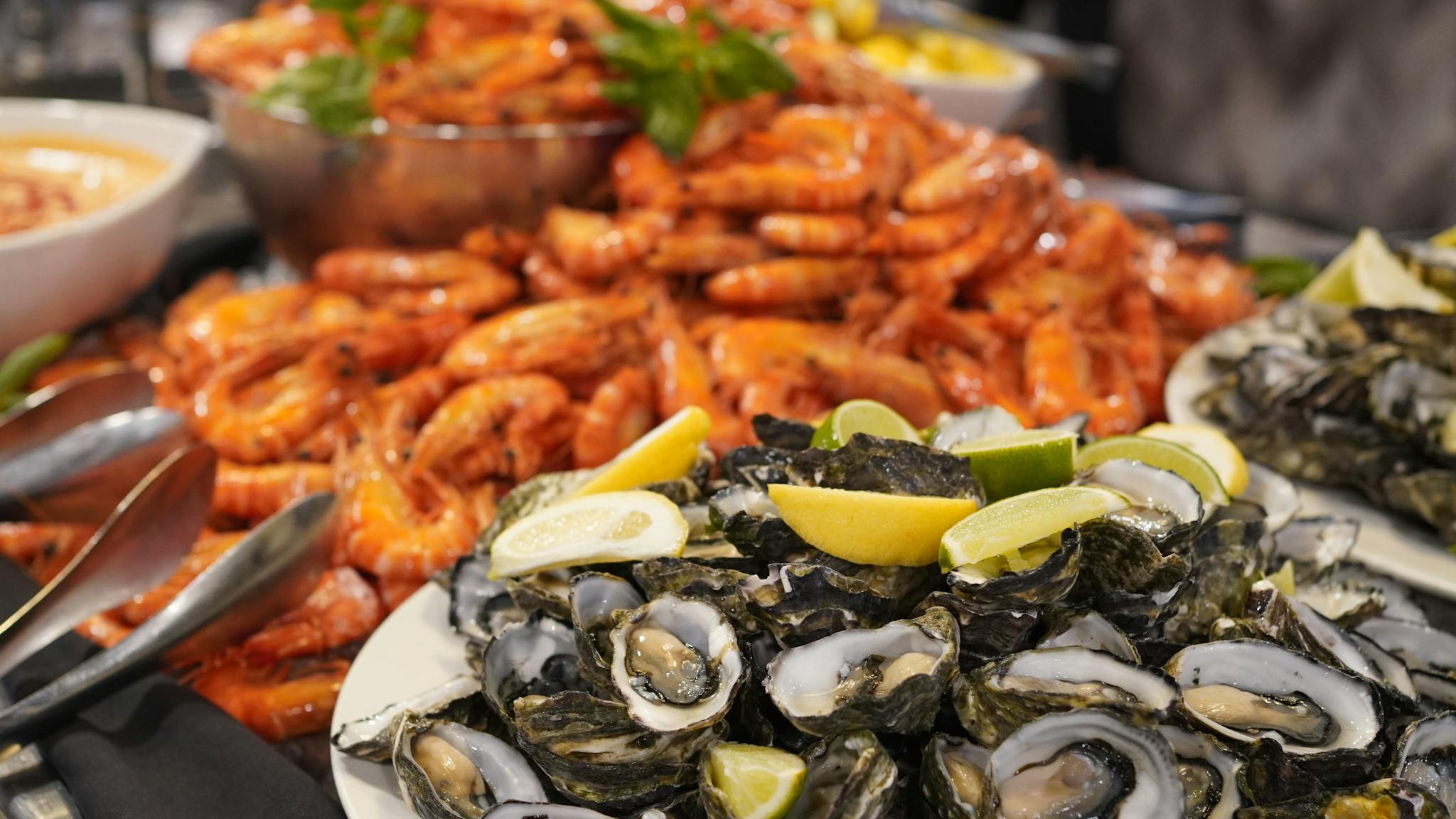 An image showing fresh oysters & prawns at the buffet An image showing fresh oysters & prawns at the buffet