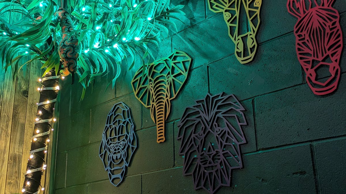 Jungleescaperoom