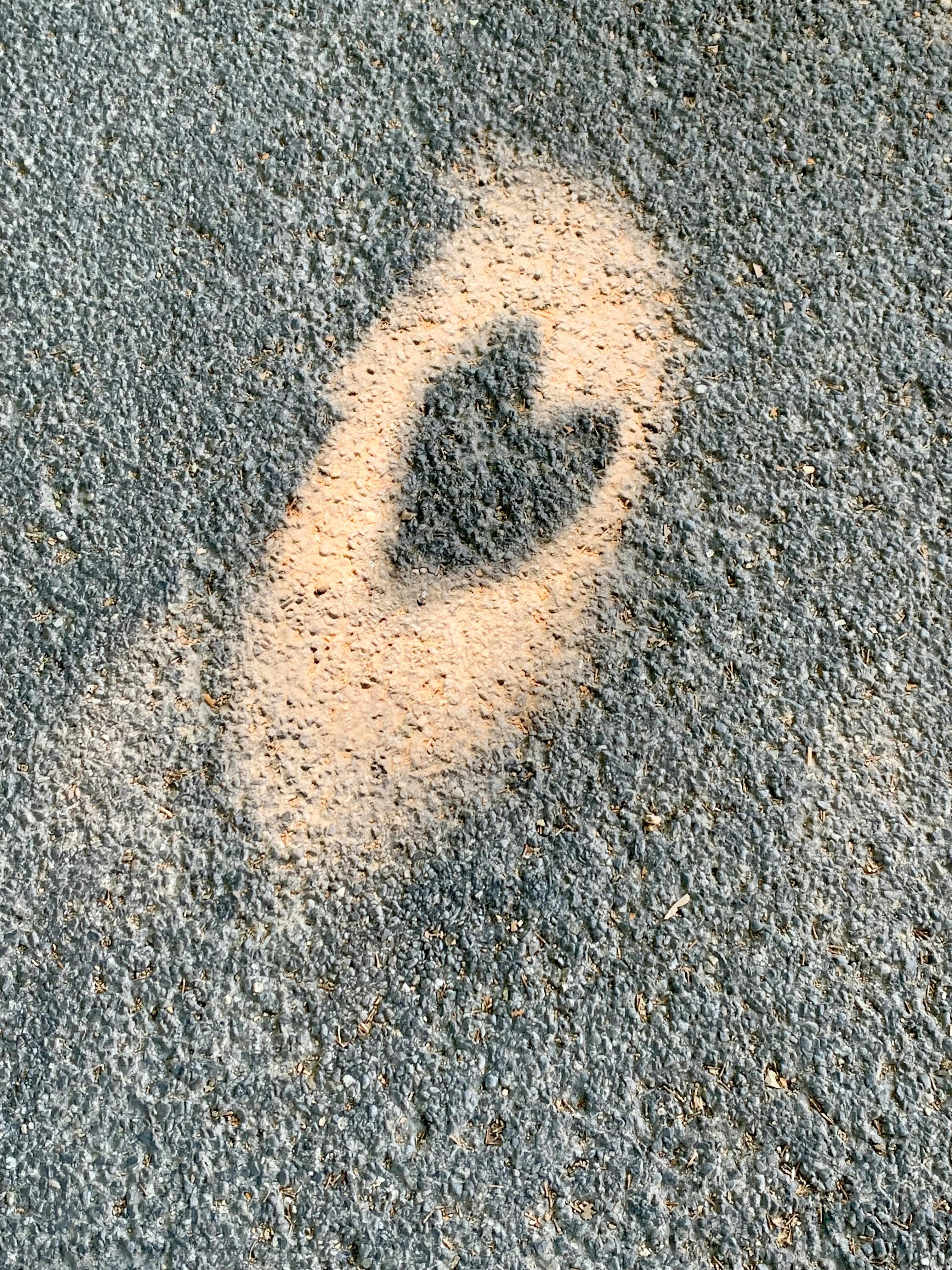 Sun Heart