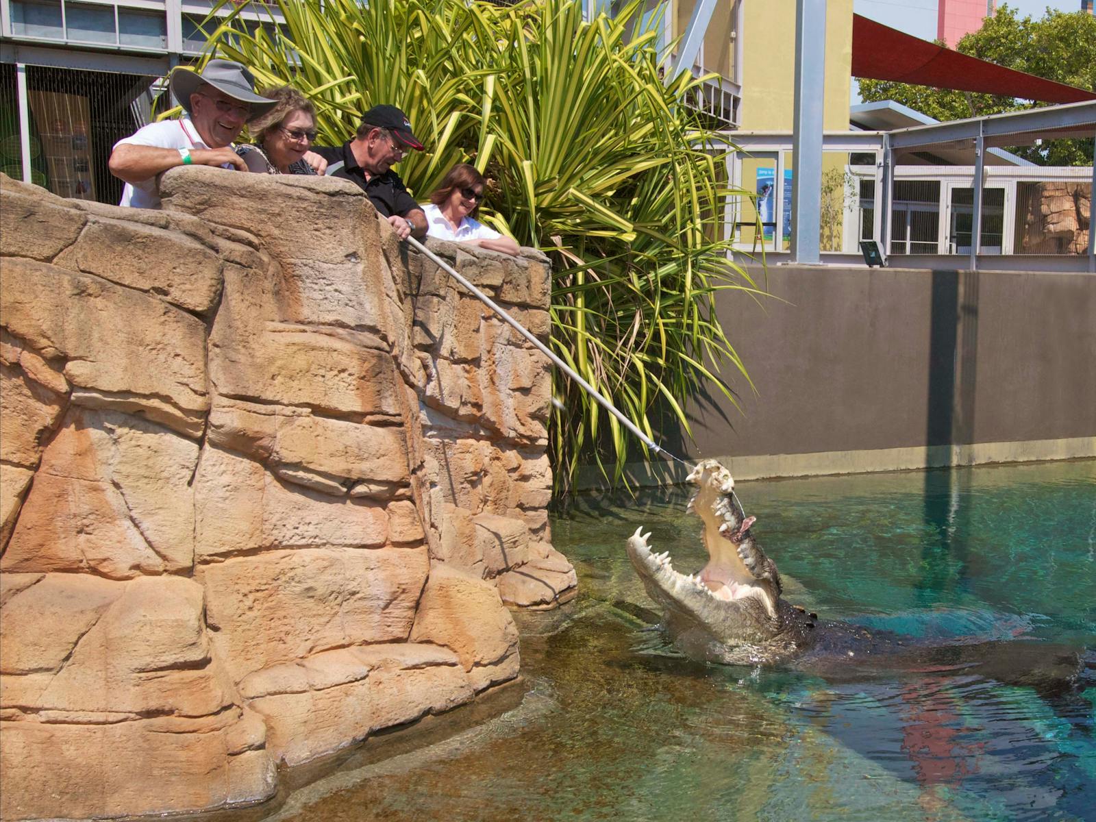 Crocosaurus Cove