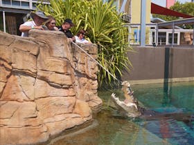 Crocosaurus Cove