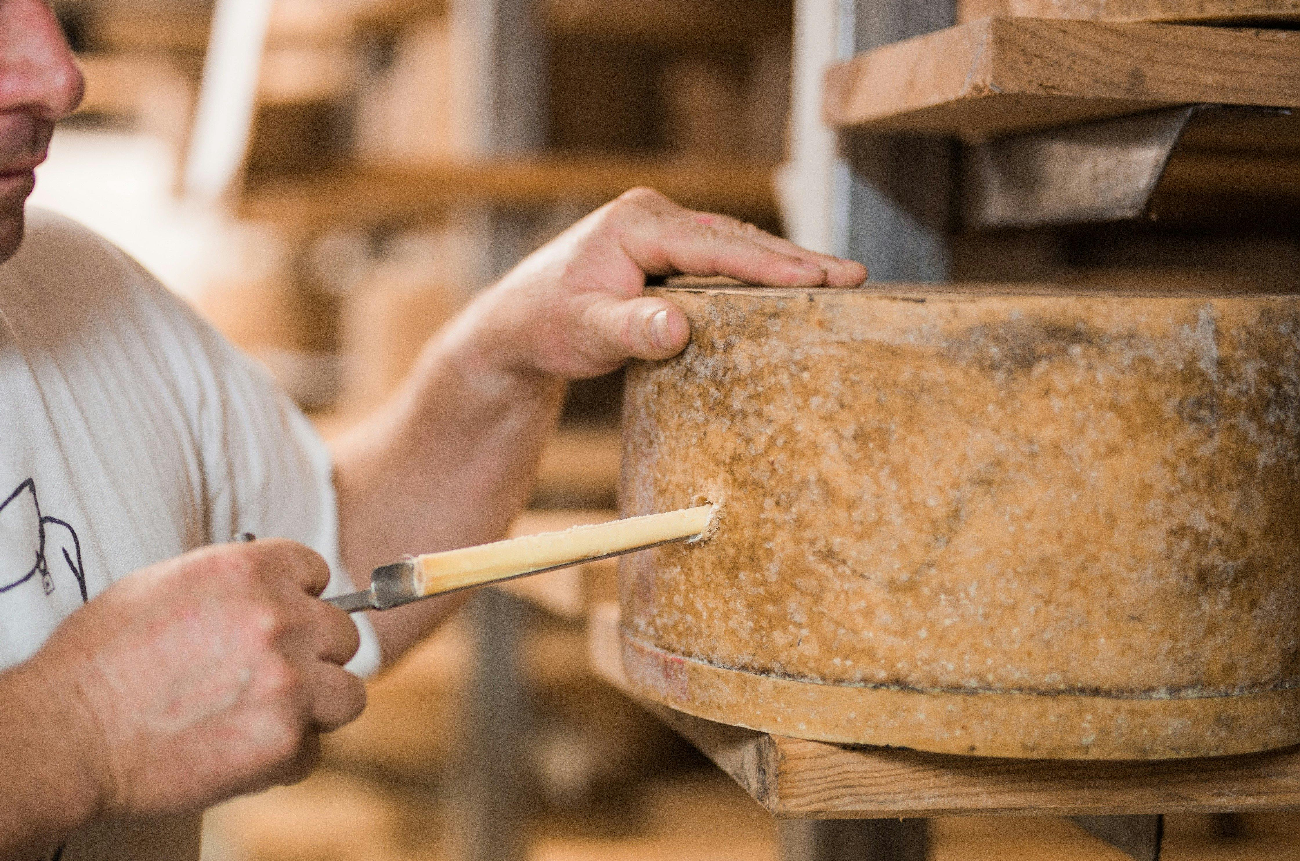 Pyengana Dairy Cheese