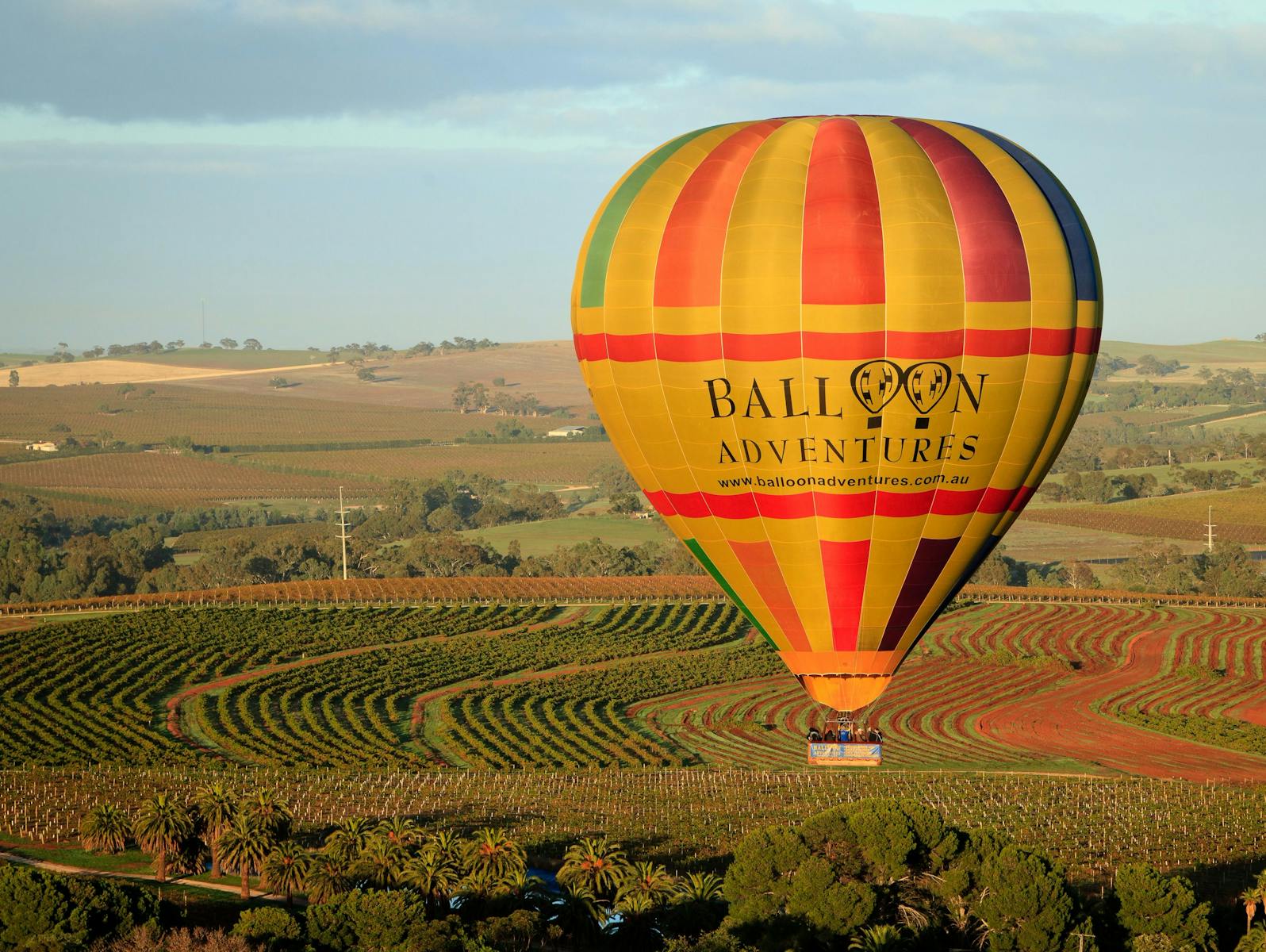 Barossa Balloon Adventures